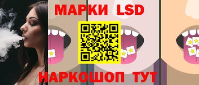 прущие грибы Обнинск